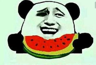 吃瓜小网友,揭秘网络“吃瓜群众”背后的故事