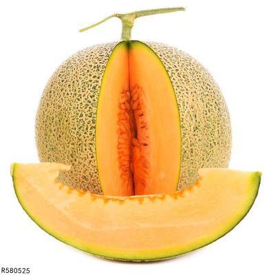 移植后可以吃哈密瓜,哈密瓜的滋养之旅