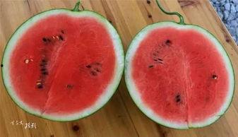 人和园吃瓜,共享夏日清凉时光