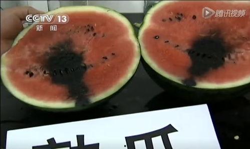 桑植吃瓜视频大全最新,趣味横生的乡村生活瞬间