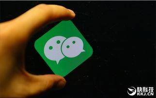 小程序可以吃瓜,畅享娱乐新体验