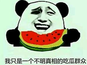 李雪梨吃瓜群众,瓜田里的明星，吃瓜群众的焦点