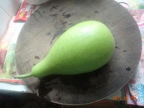 葫芦瓜煮着怎么吃,多样美味，尽享健康