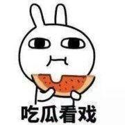 分瓜吃的表情,趣味横生的社交新风尚