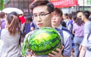 吃瓜学投资,从娱乐八卦中汲取投资智慧