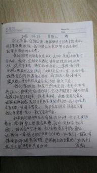 吃瓜群众议论作文800字
