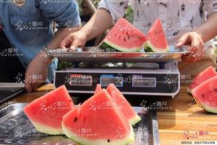 酒店吃瓜事件山东,一场意外的美食风波