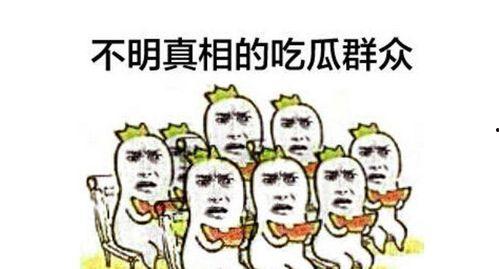 热心吃瓜朝阳群众,揭秘娱乐圈最新动态