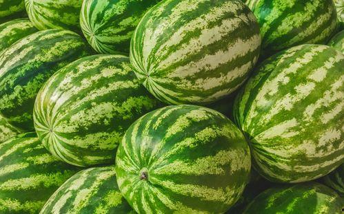 福州人吃瓜图片,瓜果飘香，市民共享夏日清凉时光