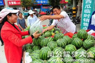 梦到吃瓜什么意思,吃瓜背后的寓意与启示