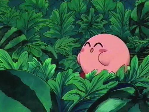 吃瓜专属话题是什么,网络热议背后的秘密