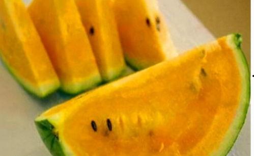 富哥吃瓜,揭秘娱乐圈幕后真相