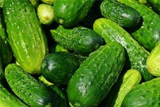 梦见农村买黄瓜吃瓜,农村黄瓜盛宴，揭秘潜意识中的田园向往