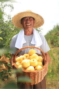 黄胖子吃瓜视频,揭秘娱乐圈幕后真相